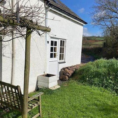 Rural Devon Retreat In Stunning Exe Valley. エクセター エクステリア 写真