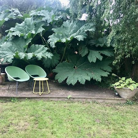 Rural Devon Retreat In Stunning Exe Valley. エクセター エクステリア 写真