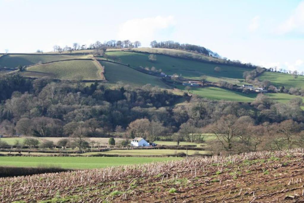 Rural Devon Retreat In Stunning Exe Valley. エクセター エクステリア 写真