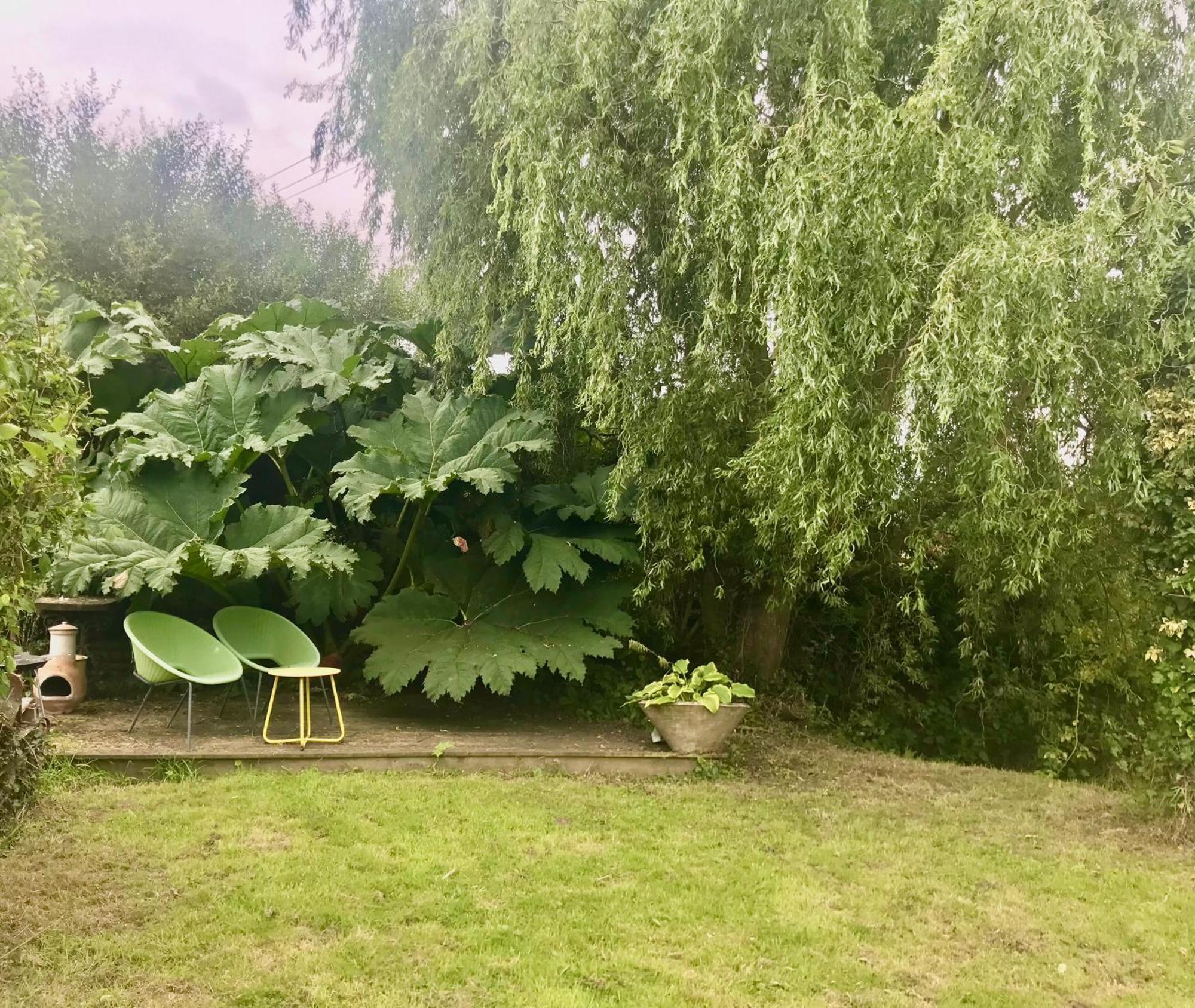 Rural Devon Retreat In Stunning Exe Valley. エクセター エクステリア 写真